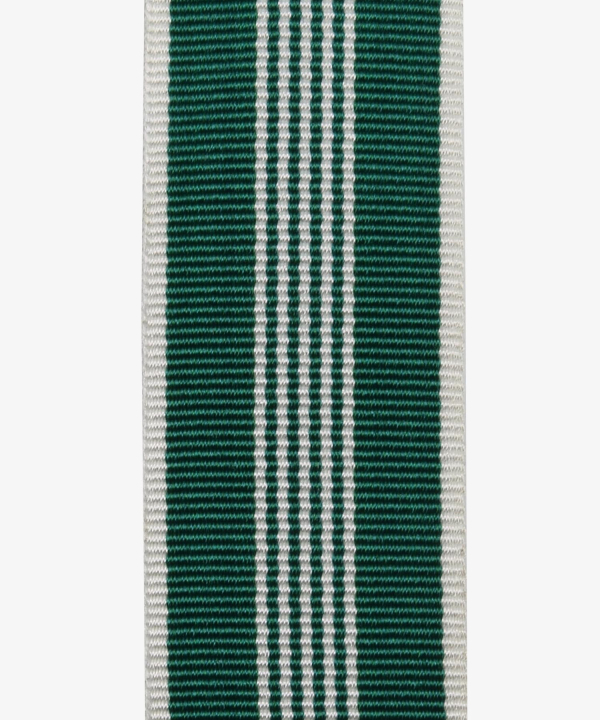 USA, US-Armee-Belobigungsmedaille ARCOM (468)